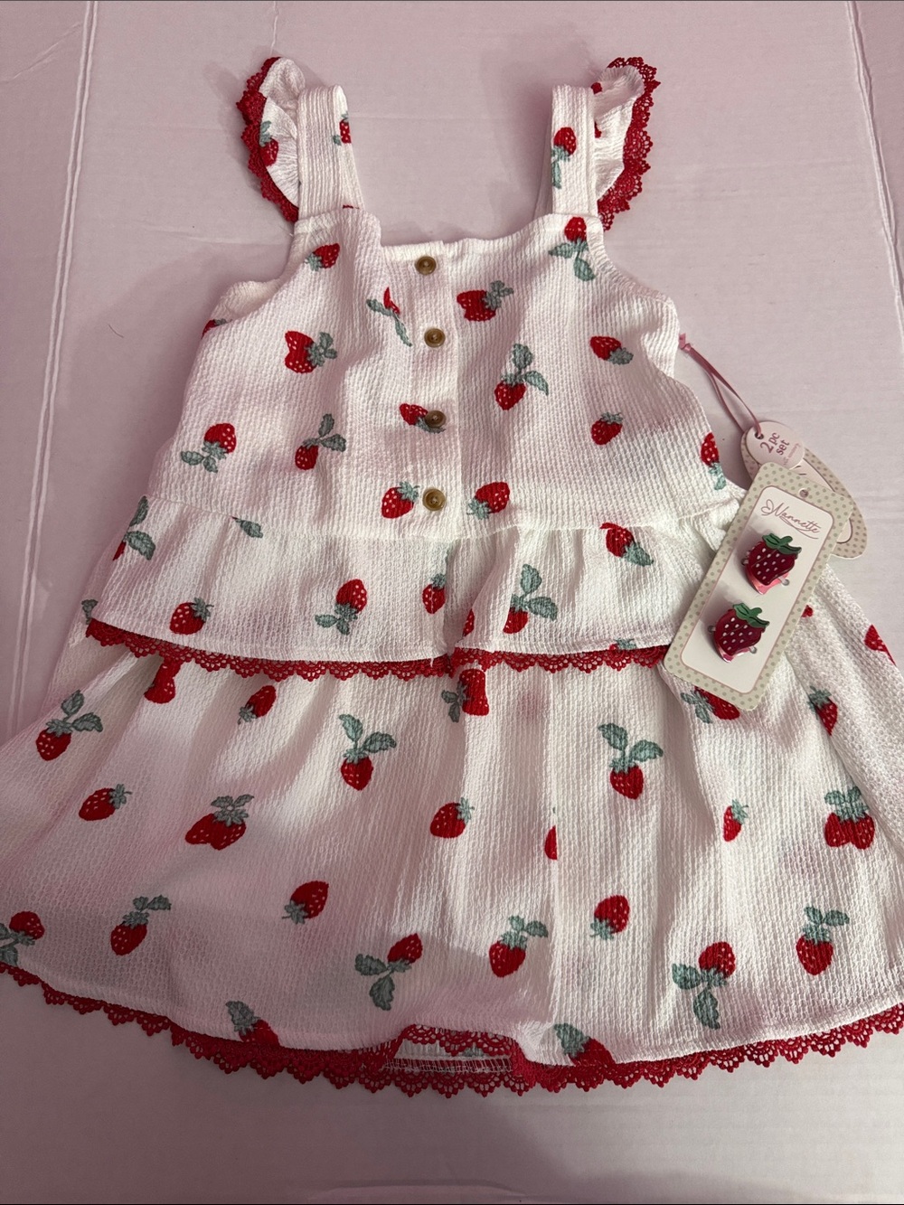 Nannette Red & Green Strawberry Hair Clip Duo